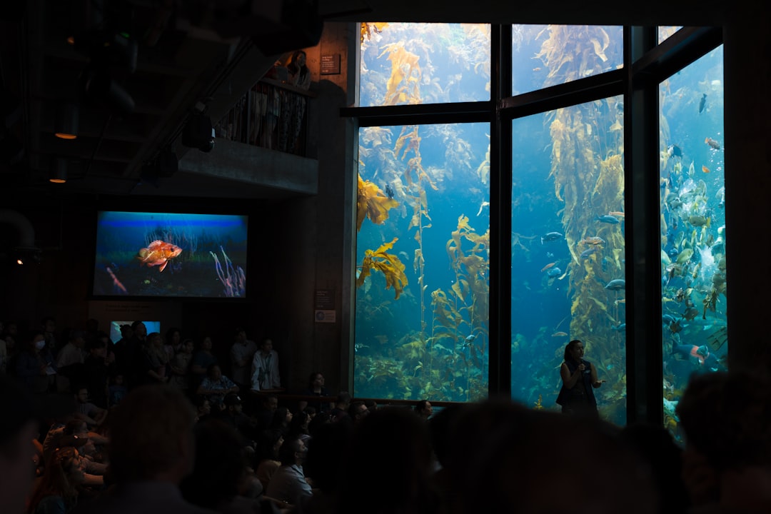 Monterey Bay Aquarium visit